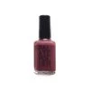 Palate Polish Apothecary Plum Nail Polish