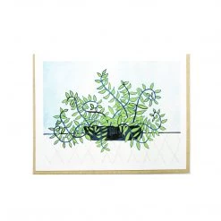 Rachel Austin Botanical Card