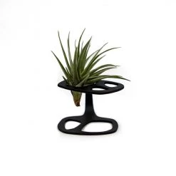 Home Essentials AIRlift Plant Stand For Airplants By Incidental Design