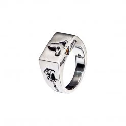 Third Eye Assembly Smell 5 Senses Signet Ring